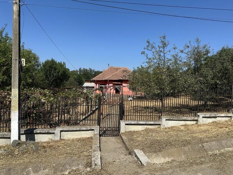 Casă individuală cu 4 camere cu Teren 1594 Mp în Steic