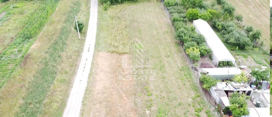 Teren Construcții intravilan de 2605 mp, în Pestișu Mic
