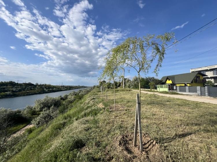 Teren Construcții intravilan de 1251 mp, în Nord
