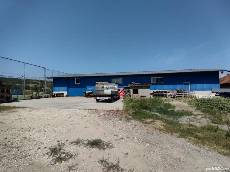 Spațiu comercial, de 500 mp, în Iancu Jianu
