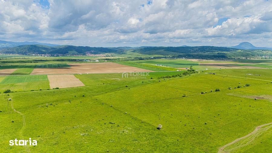 Teren de 5800 mp, în Central