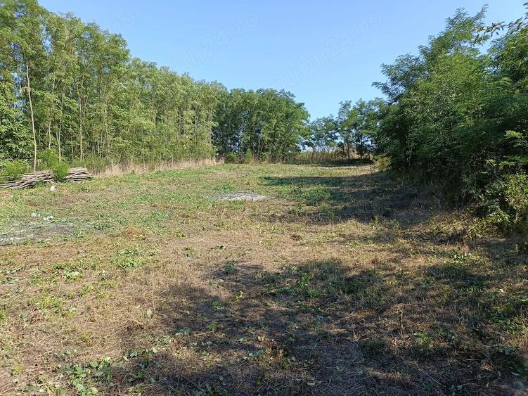 Casă cu 3 camere cu Teren 3250 Mp în Românești