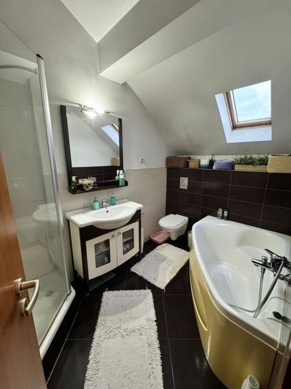 Apartament cu 3 camere decomandat, mobilat în Valea Borcutului