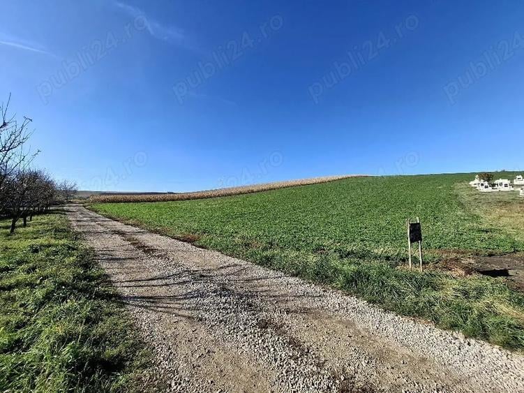 Teren de 8300 mp, în Exterior Vest