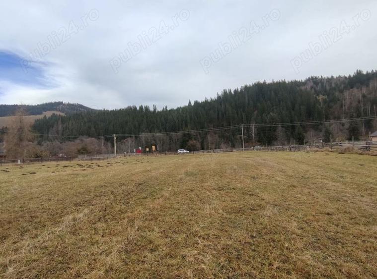 Teren de 22767 mp, în Panaci