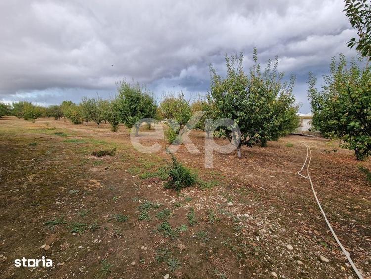 Teren de vanzare intravilan 660 mp + 1500 livada Racovita (DB) - 1