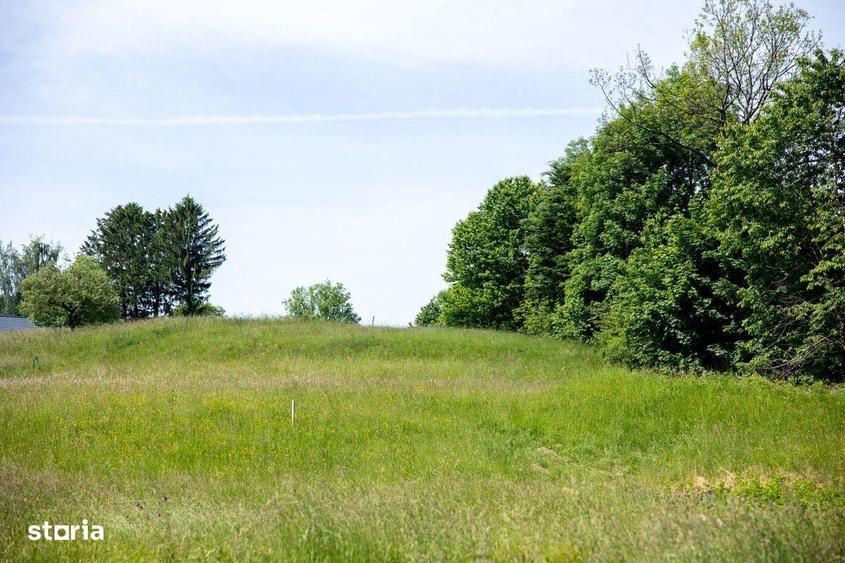 Teren intravilan - 1.050 mp in Bran cu utilitati priveli?te Bucegi - 3