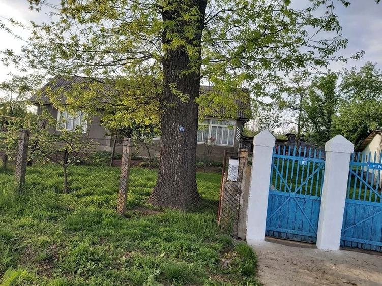 Casă cu 4 camere în Corni-Albești