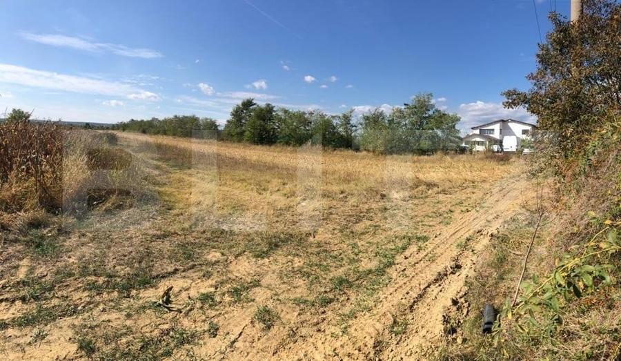Teren Construcții intravilan de 3222 mp, în Dragomirești