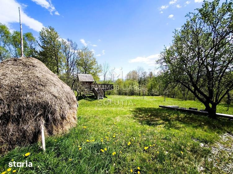 Pensiune agroturistica de vanzare | Dese?ti Maramure? - 12