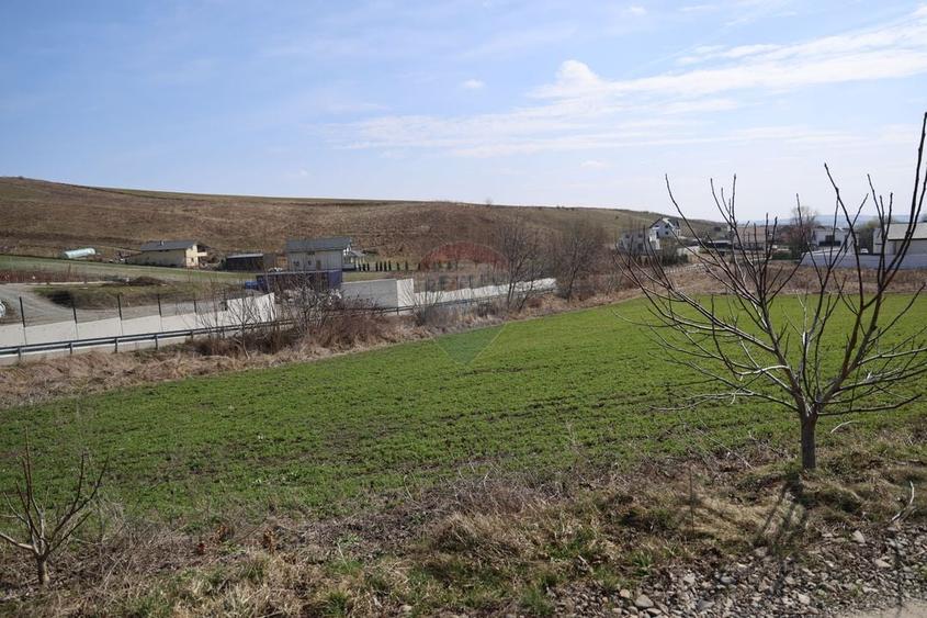 Teren Construcții intravilan de 3500 mp, în Moara
