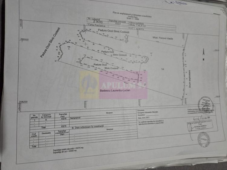 Teren agricol extravilan de 94000 mp, în Albota