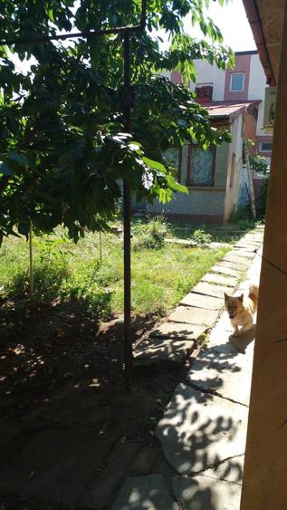 Casă cu 2 camere cu Teren 539 Mp în Central
