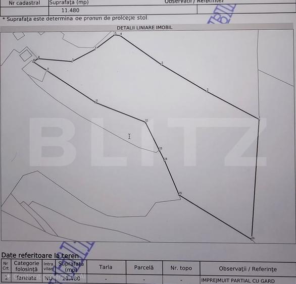 Teren Construcții extravilan de 11480 mp, în Scărișoara