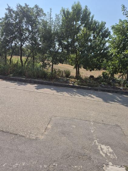 Spațiu comercial, în General Berthelot