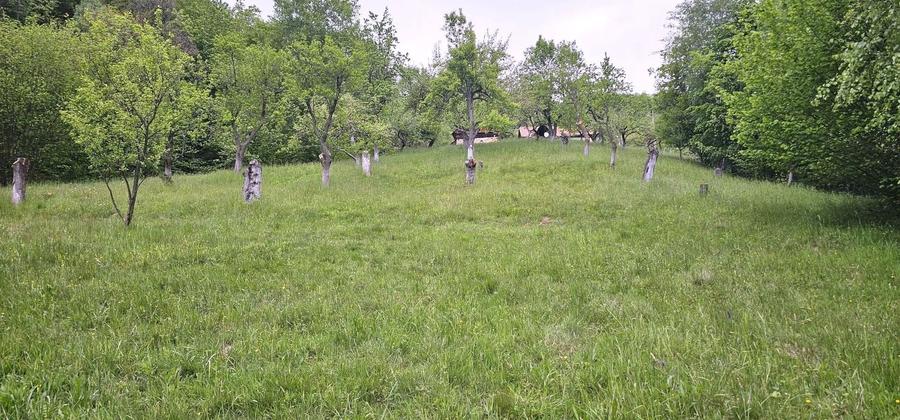Teren Construcții intravilan de 17422 mp, în Sud-Est
