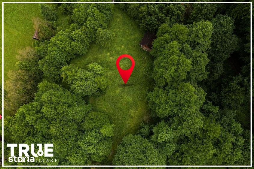 Teren de 2800 mp, în Eremitu