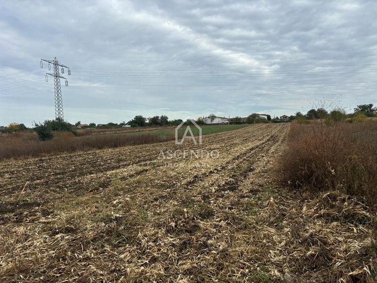 Teren Construcții intravilan de 7139 mp, în Tărtășești