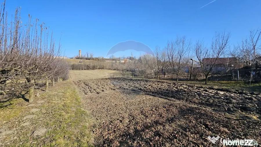 Casă cu 3 camere cu Teren 4900 Mp în Central