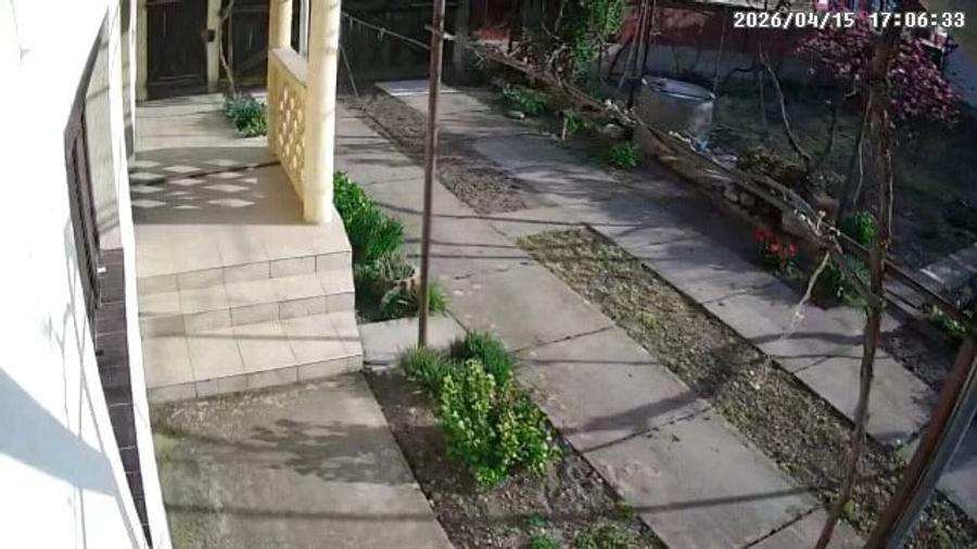 Casă cu 6 camere cu Teren 2900 Mp în Gurbediu