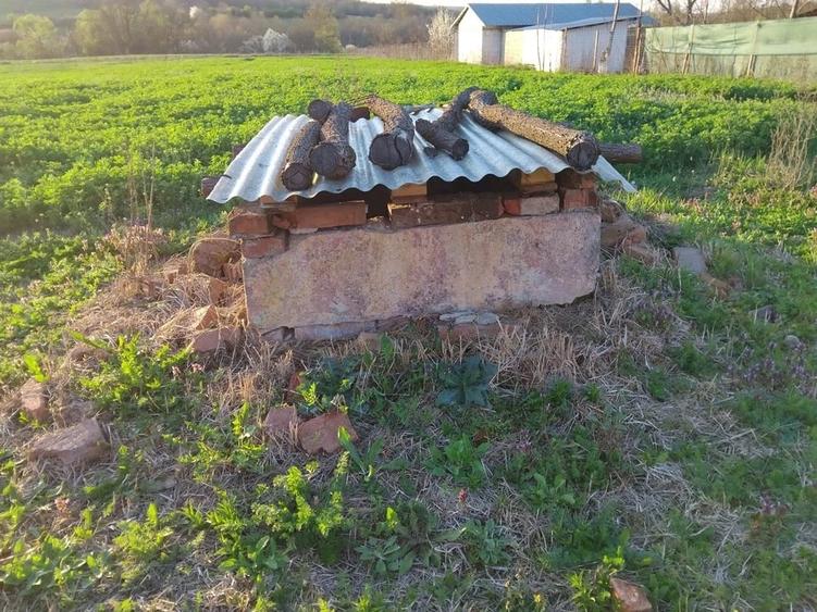 Teren de 2158 mp, în Balinț