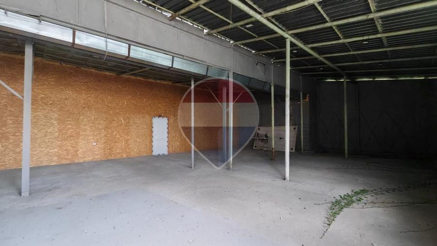 Spațiu industrial, de 437.29998779297 mp, în Doamna Ghica