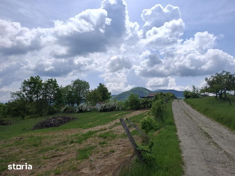 Teren de 1000 mp, în Central