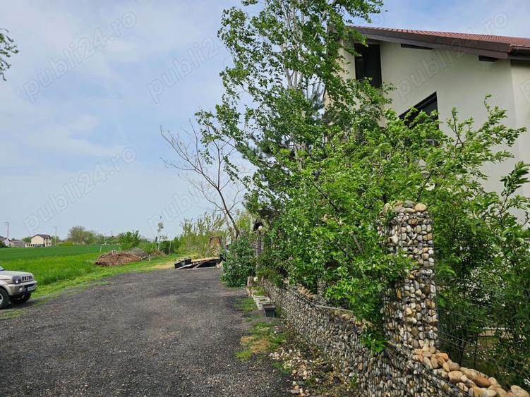 Teren intravilan curti constructii Darza pentru casa duplex 3km pana in Buftea Corbeanca A0 - 4