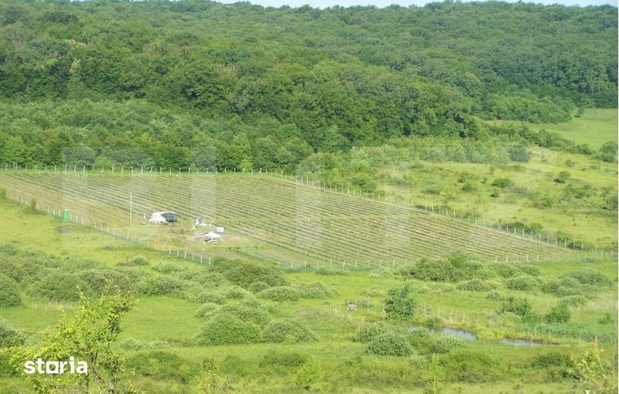 Teren de 1930000 mp, în Nimigea
