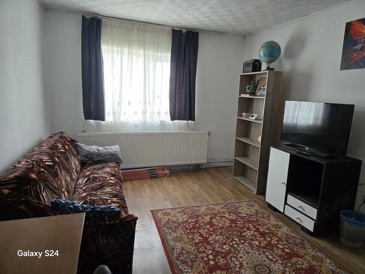 Apartament cu 2 camere decomandat în Remetea Mare