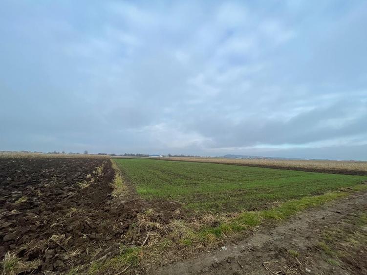 Teren agricol extravilan de 1300 mp, în Marginea