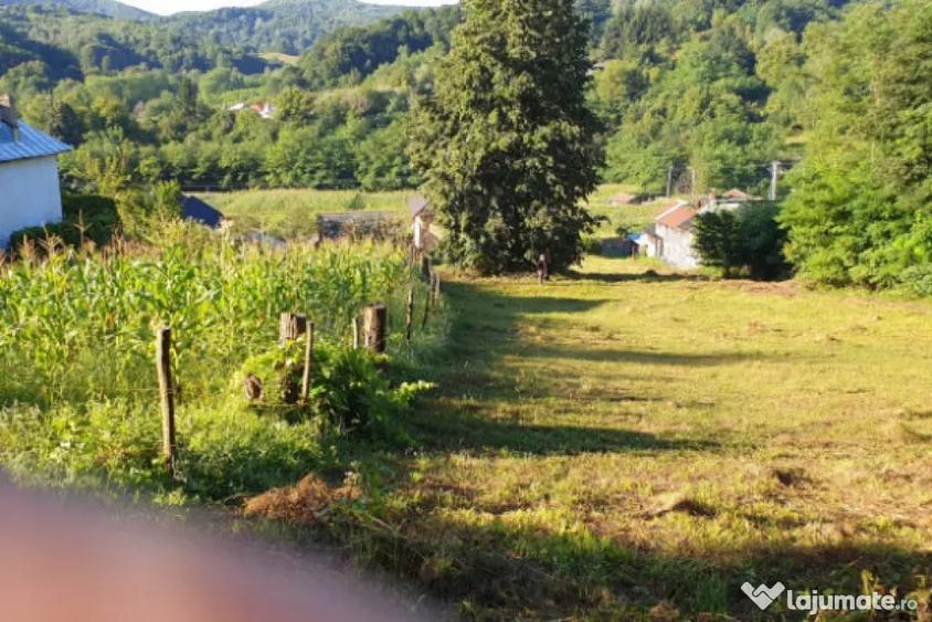 Teren de 7000 mp, în Ștubeie Tisa