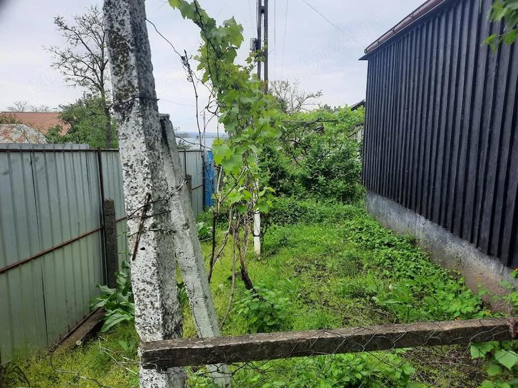 Casă cu Teren 2651 Mp în Focuri