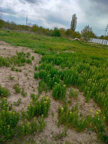 Teren de 422 mp, în Gherăiești