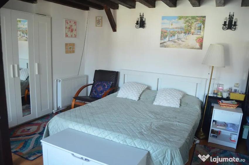Apartament cu doua camere situat central in Busteni - 10