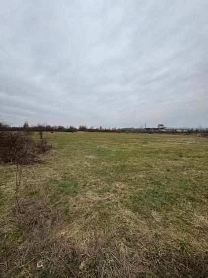 Teren Construcții intravilan de 7200 mp, în Lăpușel