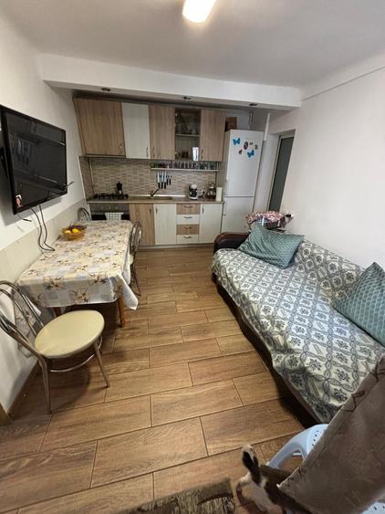 Apartament la casa,cu 1 camera si terasa,loc de parcare,zona Marasti - 6