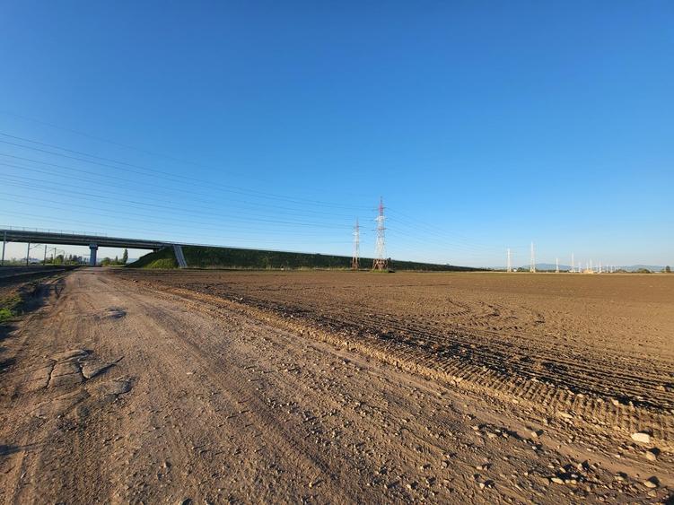 Teren Construcții intravilan de 2650 mp, în Rulmentul