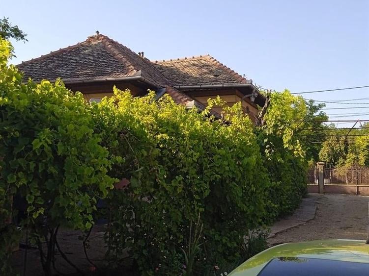 Casă individuală cu 5 camere cu Teren 4400 Mp în Giubega