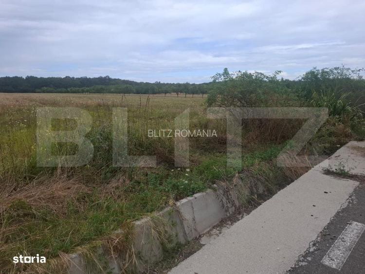 Teren de vanzare, 2.500 mp, Suta Olteni