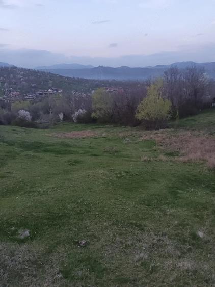 Teren de 2600 mp, în Izvoarele