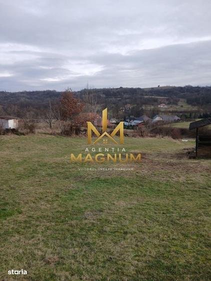 Casă cu 2 camere în Berința