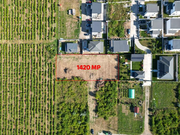 Teren Construcții intravilan de 704 mp, în Bucium