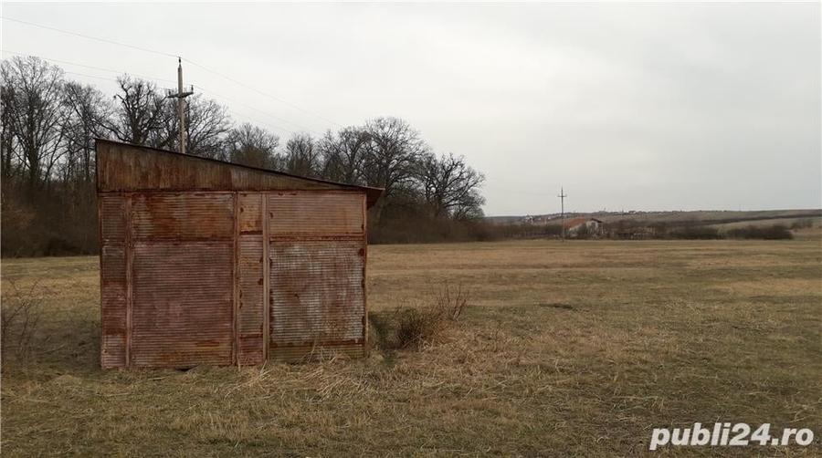 Teren de 1000 mp, în Băile Felix