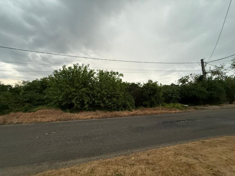 Teren Construcții intravilan de 1000 mp, în Adunații-Copăceni