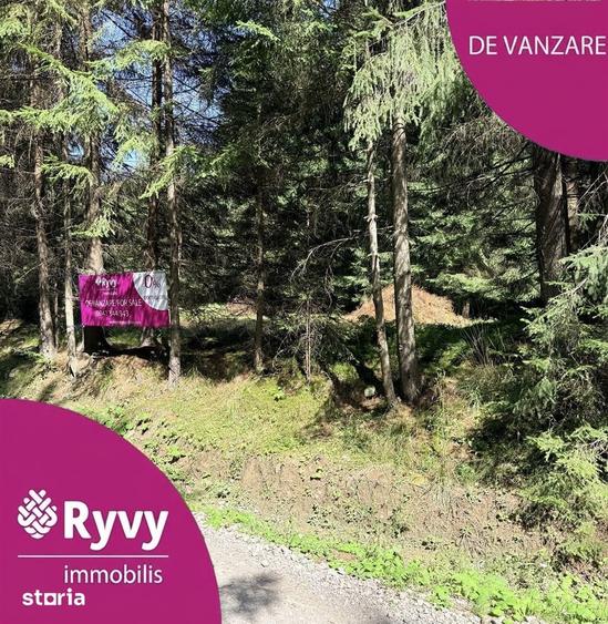 Teren de 4695 mp, în Comandău