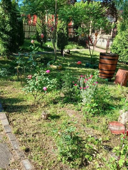 Casă cu 4 camere în Provița de Jos