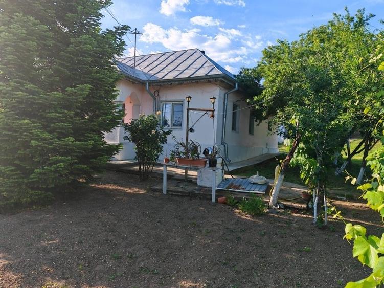Casă cu 4 camere cu Teren 3000 Mp în Central