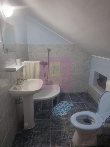 Casă cu 7 camere cu Teren 1500 Mp în Islaz