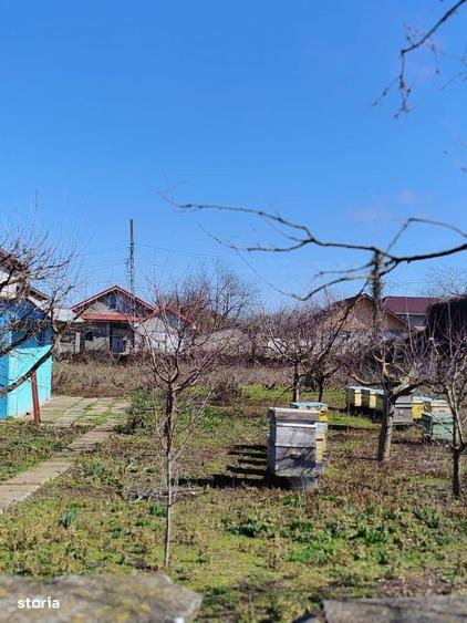 Teren de 1000 mp, în Limanu
